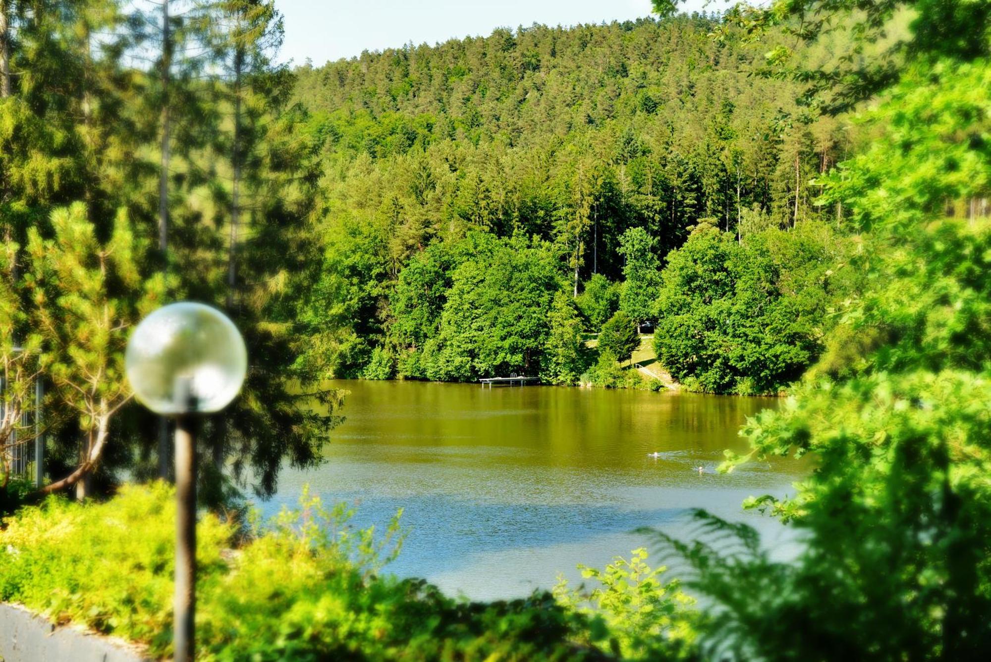 Das Dreiburgensee Naturhotel & Spa Thurmansbang Bagian luar foto